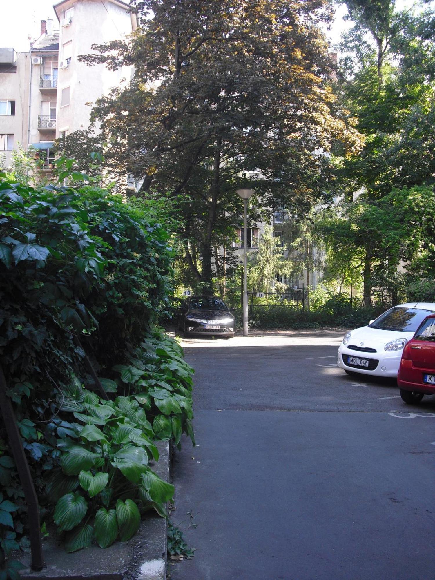 Young Center Budapest Bagian luar foto
